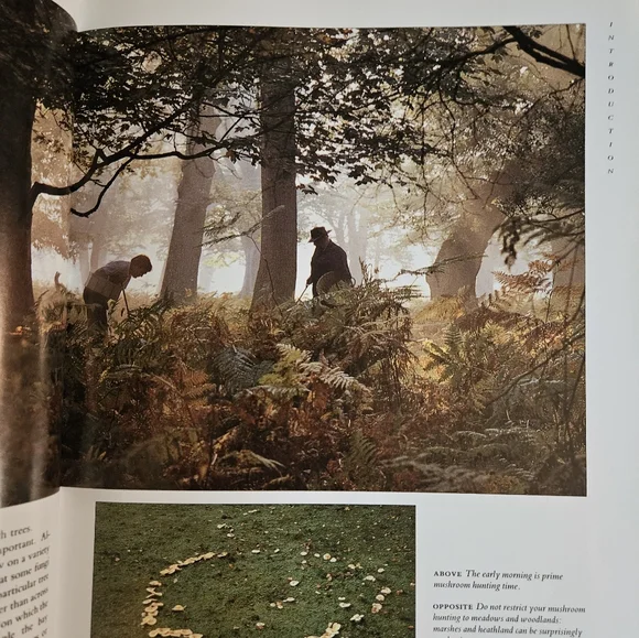 Mushroom Guide and Identifier Book - Picture 8 of 8